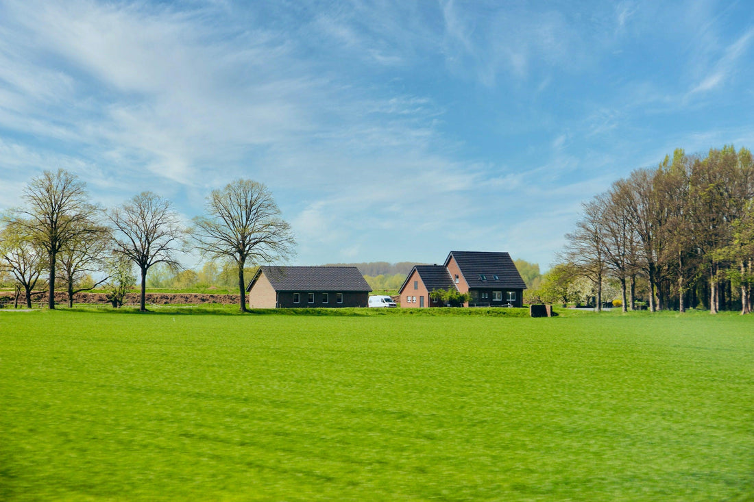 Rasenpflege im Frühjahr: Tipps für Frühling und Sommer - MotorLand.de
