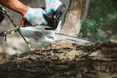 STIHL Baumpflegesäge MS 194 T, PM3, Schienenlänge 30cm - Modell 2025