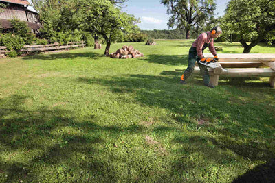 STIHL Motorsäge MS 231 C-BE, PM 3, Schienenlänge 35cm