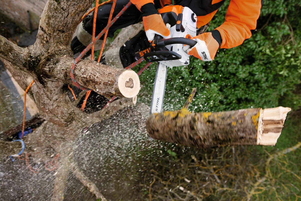 STIHL Baumpflegesäge MS 201 TC-M 35 cm / 61 PS3