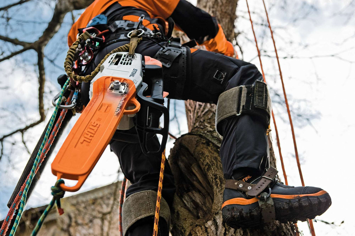 STIHL Baumpflegesäge MS 201 TC-M 35 cm / 61 PS3