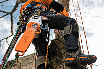 STIHL Baumpflegesäge MS 201 TC-M 30 cm / 61 PS3 - Modell 2025