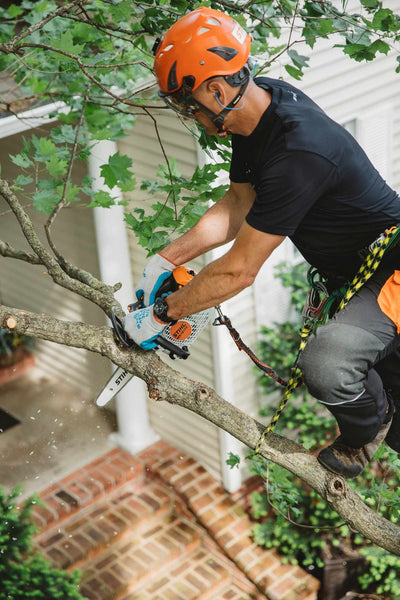 STIHL Baumpflegesäge MS 151 TC-E, PM3, Schienenlänge 30cm