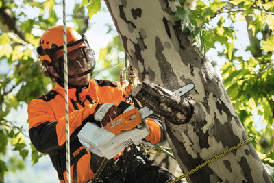 STIHL Akku-Baumpflegesäge MSA 161 T, Schienenlänge 25cm ohne Akku und Ladegerät - Modell 2025