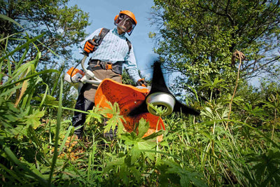 STIHL Freischneider FS 240 C-E / DM 250-3 - Modell 2025