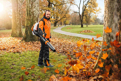 STIHL Rückentragbares Blasgerät BR 450 C-EF  - Modell 2025