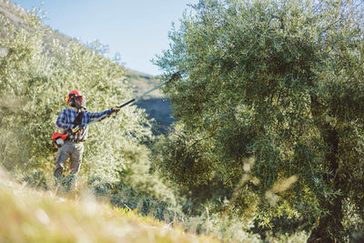 ECHO Teleskopierbarer Benzin-Hochentaster PPT-2620HES - Modell 2025