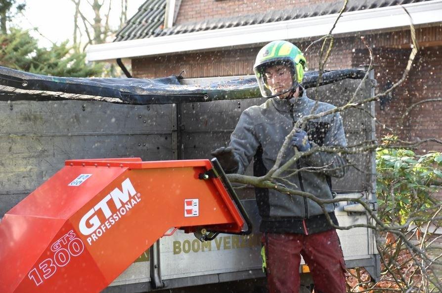 GTM Professional Benzin-Häcksler GTS1300