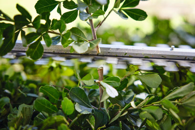 STIHL Akku-Heckenschere HSA 40 Set mit 2x Akku AS 2 und Ladegerät AL 1