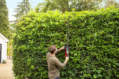 Honda Akku-Heckenschere HHH 36 BXB - ohne Akku und Ladegerät