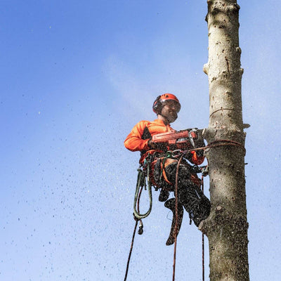 Husqvarna Profi Benzin Motorsäge 550 XP® Mark II (15")