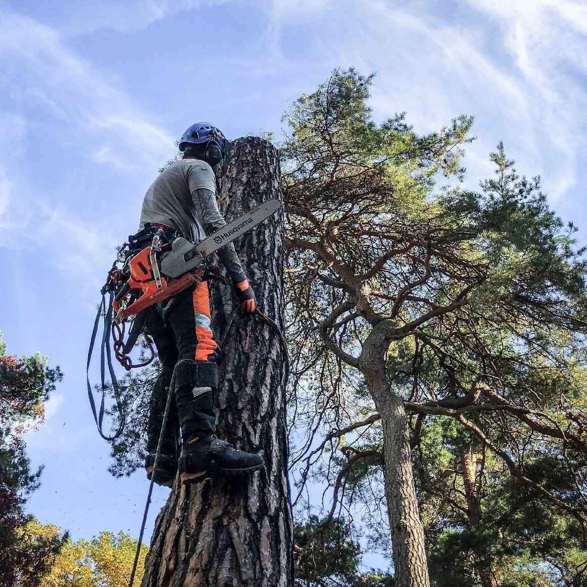 Husqvarna Profi Benzin Motorsäge 550 XP® Mark II (15")