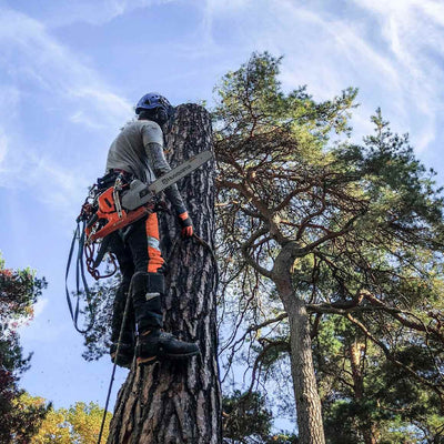Husqvarna Profi Benzin Motorsäge 550 XP® Mark II (15")