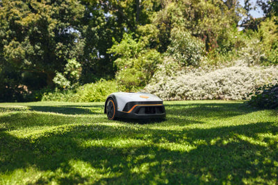 STIHL Mähroboter iMOW 3 - Modell 2025