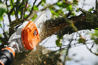 STIHL Akku-Hochentaster HTA 135, ohne Akku und Ladegerät - Modell 2025