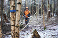 STIHL Akku-Hoch-Entaster HTA 150, ohne Akku und Ladegerät, Forstvariante