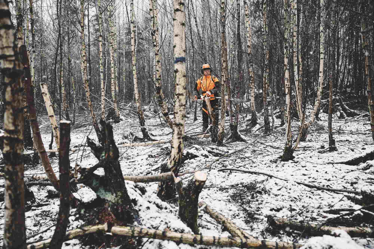 STIHL Akku-Hoch-Entaster HTA 150, ohne Akku und Ladegerät, Forstvariante