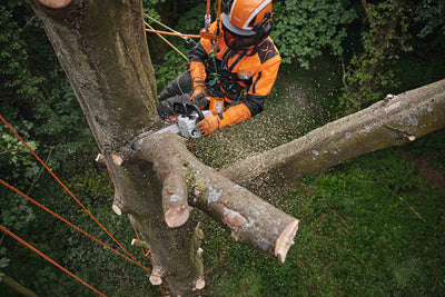STIHL Akku-Baumpflegesäge MSA 220 TC-O, PS Pro, Schienenlänge 30 cm ohne Akku und Ladegerät - Modell 2025