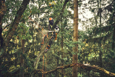 STIHL Akku-Baumpflegesäge MSA 220 T, PS3, Schienenlänge 35 cm - ohne Akku und Ladegerät - Modell 2025