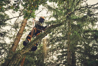 STIHL Akku-Baumpflegesäge MSA 220 T, PS3, Schienenlänge 35 cm - ohne Akku und Ladegerät - Modell 2025