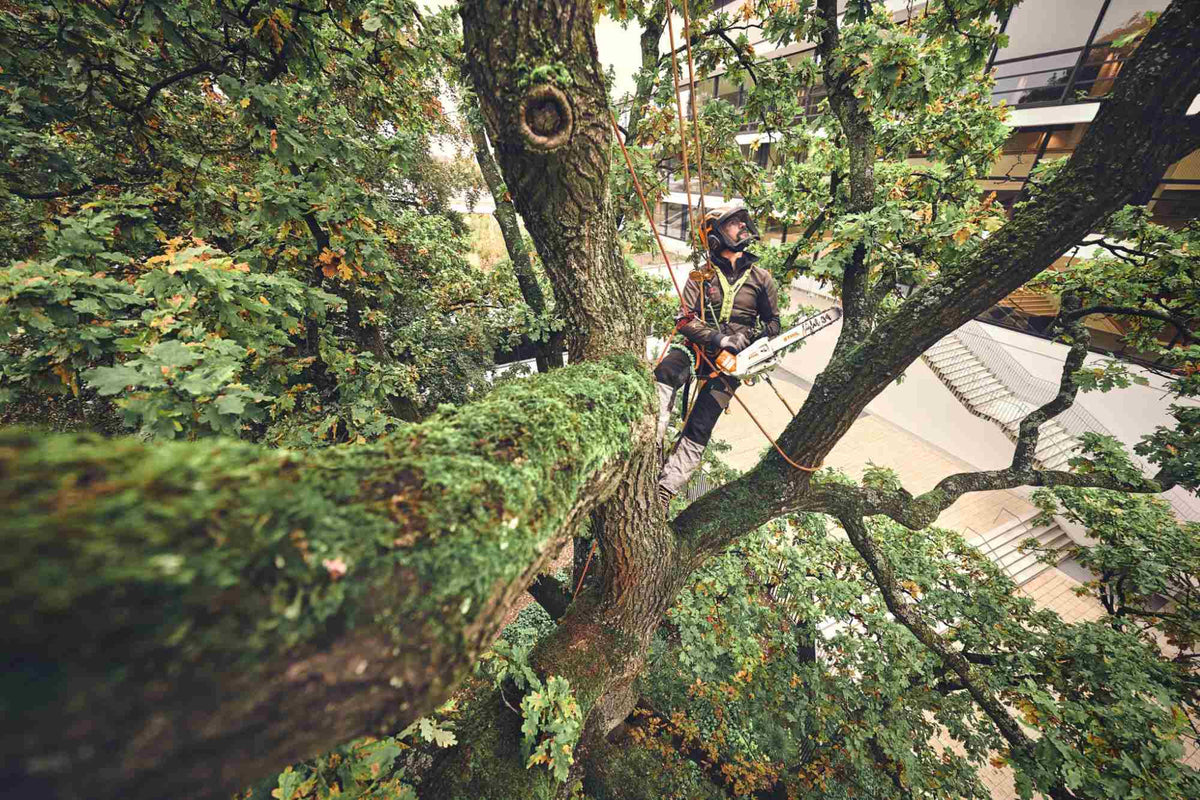STIHL Akku-Baumpflegesäge MSA 220 T, PS3, Schienenlänge 35 cm - ohne Akku und Ladegerät