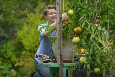 Stiga Akku-Gras- und Strauchschere SGM 102 AE - mit Akku und Ladegerät