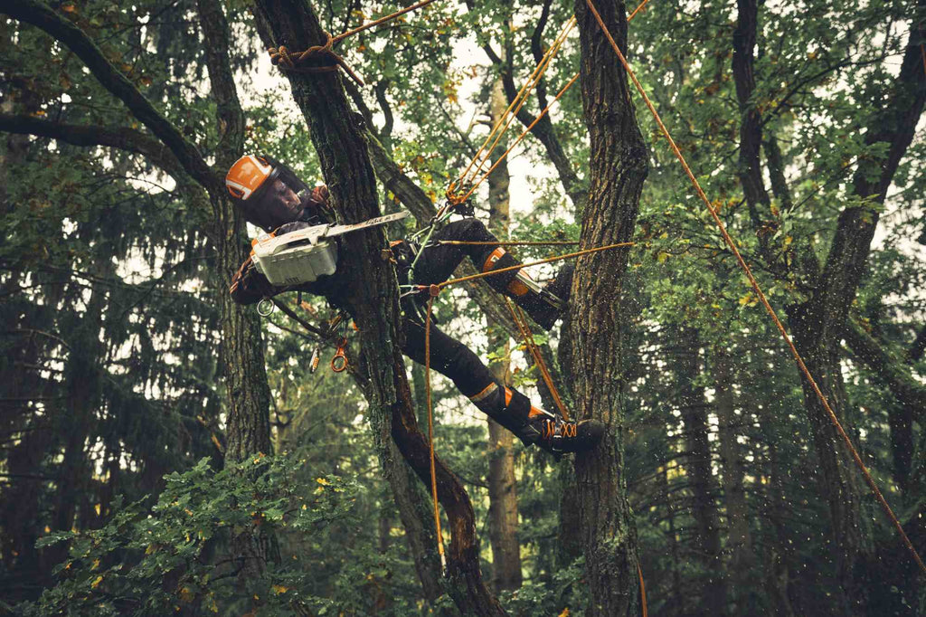 STIHL Akku-Baumpflegesäge MSA 190 T, PM3, Schienenlänge 35 cm