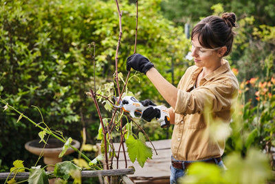 STIHL Astsäge ASA 20, ohne Akku und Ladegerät