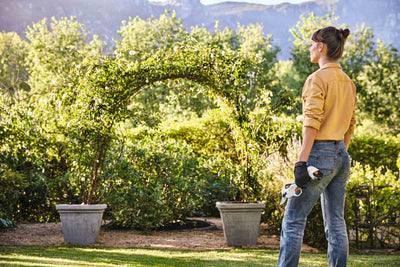 STIHL Akku Astschere ASA 20, mit Akku AS 2 und Ladegerät AL1